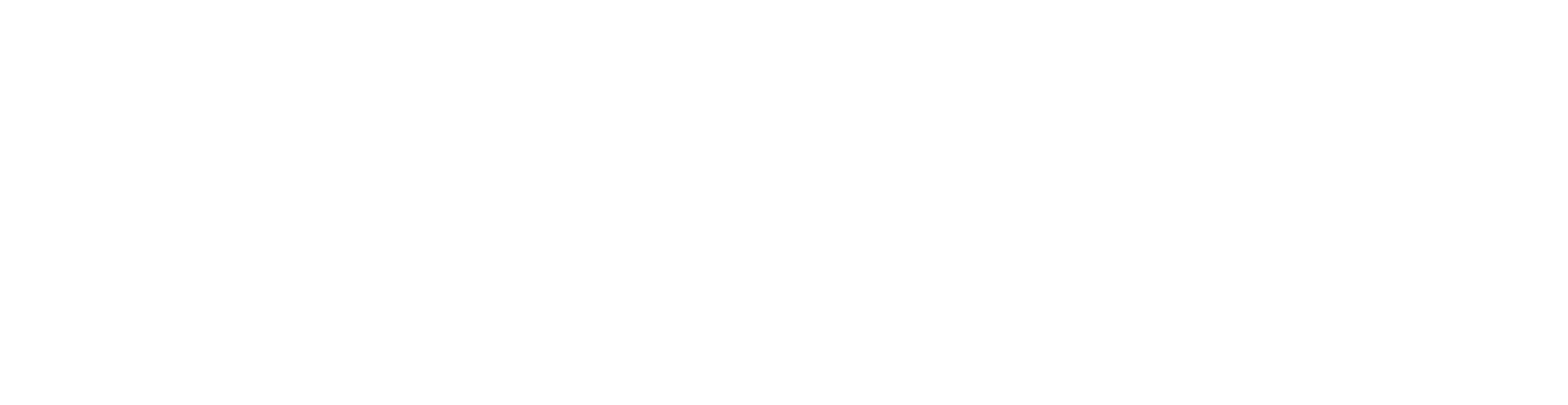 TSSLogo-wide-onecolour-white-notagline